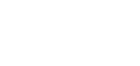 2024 General Election